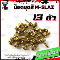 ราคา น็อตชุดสีM SLAZ 1ชุด 13 ตัว น็อตชุดสีเอ็ม สแลช น็อตMSLAZ น็อตเฟรมMSlaz น๊อตMSLAZ น็อตยึดเฟรม น็อสแตนเลส M slaz (17455791530)