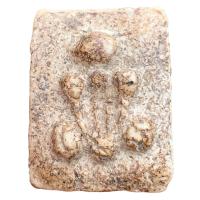 ราคา พระปิดตา อาจารย์หนู วัดโพธิ์ท่าเตียน เนื้อผง (21799532883)