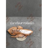 ราคา ลดพิเศษ หลวงปู่น่วม เมตตามหานิยม แคล้วคลาดปลอดภัย มีโชคมีลาภ ปลากัดสารพัดนึก หลวงปู่น่วม พร้อมส่ง (21727565556)