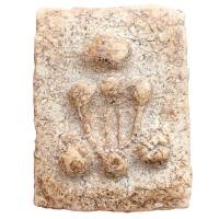 ราคา พระปิดตา อาจารย์หนู วัดโพธิ์ท่าเตียน เนื้อผง (21799462803)