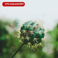 ราคา ตุ๊กตาเสียบเสาอากาศ บอลเสียบเสารถยนต์ ลายการ์ตูน น่ารัก บอลเสียบเสาอากาศ บอลเสียบเสาอากาศ ใช้เสียบเสาอากาศ มี29ลายไห้เลือก (21727923943)