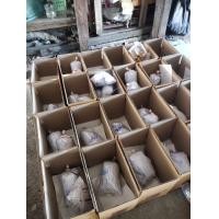 ราคา ปลากัดสายบ่อน สายพันอินโด ส่งคละสีนะครับ (21799753074)