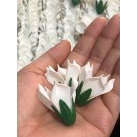 ราคา ขั้วชบาดินไทย แพ็คละ 50 ดอก (20032030339)