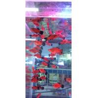 ราคา อาหารปลาสอด 6 ต 120 อาหารปลาสวยงาม รับประกันสินค้า (21844039985)