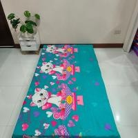 ราคา ปลอกที่นอนปิคนิค ขนาด 3 5 5 6 ฟุต เลือกลายได้ เฉพาะปลอก (21353101947)