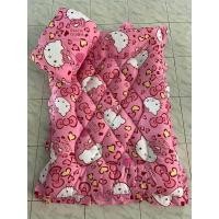 ราคา ที่นอนเด็กอนุบาล ลายเอลซ่า น่ารักๆ ที่นอนสำหรับเด็กอนุบาลมีหมอนในตัว หมอนถอดชักได้ (21774937181)