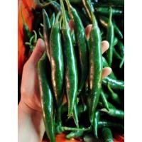 ราคา สด ใหม่ ทุกวัน พริกชี้ฟ้าเขียวพริกเขียวเม็ดใหญ่สวยๆถูกๆรับประกันคุณภาพ500g ุราคา ถูก ที่สุด ราคา ส่ง (21265392634)