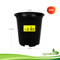 ราคา กระถางต้นไม้สวยๆ กะถางต้นไม้ กระถาง กระถางดำ 3 นิ้ว สีดำ กระบองเพชร 100 ชิ้น (21919901476)