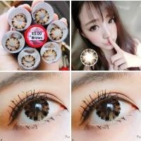 ราคา คอนแทคเลนส์ บิ๊กอาย รุ่น Pudding Bubble สีเทา ตาล ดำ gray brown Black มีค่าสายตา 0 00 6 00 (15887725029)