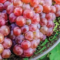 ราคา 20 เมล็ด องุ่น สายพันธุ์ไวน์ Grape Vines Seeds (21734643394)