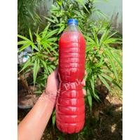 ราคา จุลินทรีย์สังเคราะห์แสง หัวเชื้อจุลินทรีย์สังเคราะห์แสง PSB หัวเชื้อแท้ 100 เร่งแตกราก ออกดอก บรรจุ 500 ml และ 1300 ml (15636133998)