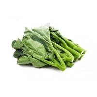 ราคา 500 เมล็ด คะน้า คะน้าใบ คะน้าเห็ดหอม คะน้าก้านใหญ่ คะน้าจีน คะน้าฮ่องกง Hong kong Kale seeds (21823126590)