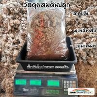 ราคา แกลบ แกลบดิบ ขุยมะพร้าว มะพร้าวสับ 3in1 3อย่างใน1ถุง พร้อมใช้พร้อมส่ง วัสดุปลูก ต้นไม้ (17116605352)