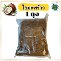 ราคา ใยมะพร้าว ใยมะพร้าวแห้ง วัสดุคลุมดินจากธรรมชาติ100 สำหรับรองก้นกระถาง คลุมดิน ช่วยกักเก็บความชุ่มชื้นให้ดิน ทำให้โคนต้นไม้ชุ่มชื้นไม่เป็นโรคโคนไหม้ รดน้ำดินไม่กระเด็น สินค้าพร้อมส่ง (21858387771)