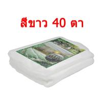 ราคา ผ้ามุ้งไนล่อนสีขาว ตาข่ายขาว32ตา 40 ตา มุ้งเลี้ยงตั๊กแตน มุ้งปลูกผัก ตาข่ายตั๊กแตน มุ้งปลูกเมล่อน มุ้งเลี้ยงตั๊กแตน มุ้งโรงเรือน ตาข่ายปลูกผัก (18732300826)