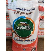 ราคา ชีพีไรซ์ 35 เบญจเมฆา 1 บรรจุ 20 กก CPR35 CP35 เมล็ดพันธุ์ข้าวเหนียวหอม ฟาร์มโปร คัดพิเศษ (21926950072)