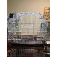 ราคา กรงนกแก้ว ชูก้า กระรอก ฟอพัส เลิฟเบิร์ด (873420775)