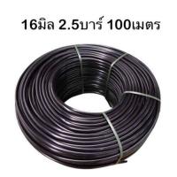 ราคา รวมท่อพีอี ท่อเกษตร 16มิล 32มิล ทนแรงดัน 2 5 4บาร์ เลือกความยาวได้ ไชโย แชมป์ไชโย ท่อpe สายพีอี ท่อเกษตร น้ำหยด PE LDPE ท่อ ท่อพีอี (20708843501)