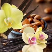 ราคา Castile Liquid Soap Extra Virgin Olive Oil 100 สบู่เหลวน้ำมันมะกอกบริสุทธิ์ 100 มี 3 ขนาดให้เลือก 300ml 500ml 1000ml (17466470149)