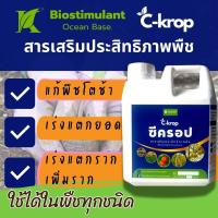 ราคา ปุ๋ยเร่งรากและใบ C krop สูตรเร่งรากเร่งใบ ทางดิน ทางใบ ปุ๋ยเร่งต้นไม้ให้โตเร็ว สูตรเร่งใบเขียวในพืชทุกชนิด ปุ่ยบำรุงต้นไม้ เร่งแตกยอดทุเรียนเล็ก มะนาว ไม้ดอกไม้ประดับ เร่งโตในพืชผักสวนครัว ปุ๋ยเร่งโต 