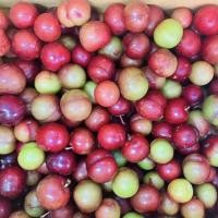 ราคา เก็บสด ใหม่ ทุกวัน สดจากฟาร์ม เชอรี่ดอย ออแกนิก เชอรี่ดอยสดนอกฤดู เชอรี่ ผลไม้ ขนาด 1kg (21776084125)