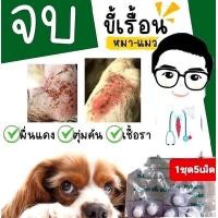 ราคา Derma Plus ถูกสุดสุด วิตามินบำรุงขนและผิวหนังสุนัข แมว60ml ฟรีไชริ้ง (21417945231)