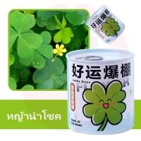 ราคา Bell toys ชุดปลูกดอกไม้ ชุดปลูกผัก ชุดพร้อมปลูก ทานตะวัน สตรอว์เบอร์รี่ หญ้านำโชค (21736693332)