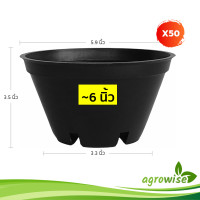 ราคา กะถางต้นไม้ กระถาง กระถางพลาสติก สีดำ ทรงเตี้ย 6 นิ้ว กระถางเพาะเมล็ด 50 ใบ (21932248813)