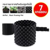 ราคา กระถางปลูกต้นไม้เร่งราก Air Pot กระถางมีรู กระถางเร่งราก กระถางเพิ่มราก กระถางปลูกต้นไม้ กระถาง กระถางต้นไม้ (20131103016)