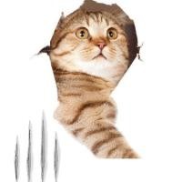 ราคา สติกเกอร์ติดผนัง3D สำหรับแมวสุนัขและแมวโปสเตอร์ศิลปะสติ๊กเกอร์ตกแต่งบ้านติดในห้องน้ำห้องนอนสัตว์ (18092250205)