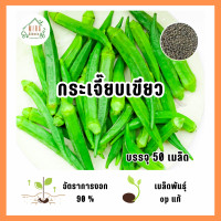 ราคา เมล็ดพันธุ์กระเจี๊ยบเขียว บรรจุ 50 เมล็ด (21763608734)