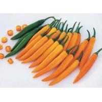 ราคา เมล็ดพริกเหลือง พริกเหลืองซุปเปอร์ฮอต พริก ซื้อ 10 แถม 1 คละอย่างได้ (4625392938)
