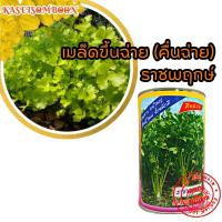 ราคา เมล็ดขึ้นฉ่าย คื่นฉ่าย ราชพฤกษ์ ซุปเปอร์โพธิ์ทอง เมล็ดต้งโอ๋ เมล็ดพันธุ์ 50 300 400 ก ตราต้นไผ่ เจียไต๋ (21595707860)