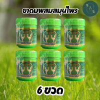 ราคา ยาดมหงส์คู่ ยาดมผสมสมุนไพร สูตรดั้งเดิม กระปุกเขียว ขนาด 10 กรัม (21381176634)