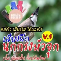 ราคา เสียงฝึกนกกรงหัวจุก เบิ้ล เพลงสั้น ก็อปติดง่าย แฟลชไดร์ฟเสียงฝึกนกกรงหัวจุก เบิ้ล เพลงสั้น ก็อปติดง่าย มีเก็บเงินปลายทาง (10167478375)