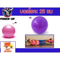 ราคา ลูกบอลออกกำลังกาย ขนาด 25 30 ซม ฟิตบอล Fitball (100137881)