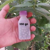 ราคา ขนาด ลูกเหล็ก 8 มิล 8 mm ลูกเหล็กแบริ่งจักยาน ลูกเหล็กร่อนเงา ขัดเงาอย่างดี กลมเท่ากันทุกเม็ด (21701358121)