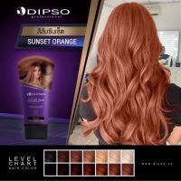 ราคา ดิ๊พโซ่ ทรีทเม้นท์แว๊กซ์ เปลี่ยนสีผม Dipso hair color wax 150 ml (20056078667)