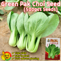 ราคา ปลูกง่าย ปลูกได้ทั่วไทย 500เมล็ด ซอง ผักเบบี้ฮ้องเต้ เมล็ดพันธุ์ Green Pak Choi Seeds Organic Vegetable Seeds for Planting กวางตุ้งฮ่องเต้ เมล็ด กวางตุ้ง เมล็ดพันธุ์ ผักกาด กวางตุ้ง ก้านขาว ผักออร์แกน