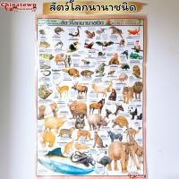 ราคา โปสเตอร์ แบบฝึกอ่าน ตัวเลข 1 100 โปสเตอร์สื่อการเรียนรู้ ก ฮ สูตรคูณ ท่องจำ สอนเด็ก อนุบาล หัดจำ สุภาษิตไทย ภาษาไทย (19493746038)