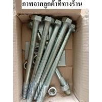 ราคา น๊อตใส่สาไฟ น๊อตร้อยแหล้ค ไฟฟ้า 5 นิ้ว 14 นิ้ว 5 8 5หุน น๊อตจับเหล็คพร้อมแหวนตัวเมีย มาตรฐานการไฟฟ้า น๊อตจับเสา จับแหล็ก (21597012939)