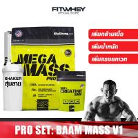 ราคา ชุดโปรโมชัน BAAM MASS V1 12 LBS เวย์โปรตีนเพิ่มน้ำหนัก สร้างกล้ามเนื้อ FITWHEY (6265104386)