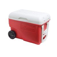 ราคา REANGWA STANDARD SNOW BANK กระติกคูลเลอร์ มีล้อลาก 30 ลิตร กระติกน้ำแข็ง กระติกเก็บความเย็น มี 2 สี แดง และน้ำเงิน RW 0338 (10305221223)