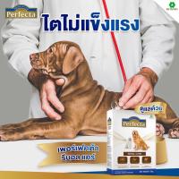 ราคา อาหารสุนัข Perfecta เพอเฟคต้า สูตรพิเศษ มี 3สูตร 1 Renal Care 2kg 2 Weight Care 2kg 3 Skincare 2kg (21373536258)