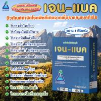 ราคา เจน แบค ขนาด 1 กก บาซิลลัส ซับทิลิส สายพันธุ์ บีเอ็ม 01 เจนแบค บีเอส bs Bacillus subtilis 1 x109 strain BM 01 (21919194196)