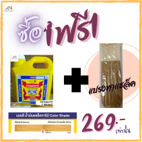 ราคา น้ำมันแชล็คทาไม้ ตราจะเข้ ขนาดแกลลอน พร้อมแปรง No 1 (16390515988)