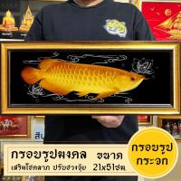 ราคา กรอบรูปมงคลปลามังกรทอง1ตัว พร้อมส่งมีเก็บปลายทาง (21425963853)