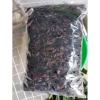 ราคา จิ้งหรีดไข่ ต้มสุก แช่แข็ง แพ็คละ 1 กิโลกรัม สดๆใหม่ๆไข่แน่นๆ จากฟาร์ม เพาะเลี้ยงเอง ราคา ส่ง ถูกที่สุด (21757403580)