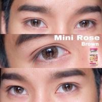 ราคา คอนแทคเลนส์ Mini Rose Brown Gray Kitty Kawaii ขนาดมินิ (18983179694)