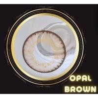 ราคา คอนแทคเลนส์ บิ๊กอาย Opal Brown Gray Montra ลายฮิต ขายดีมาก กรองแสงกันยูวี (21550316587)